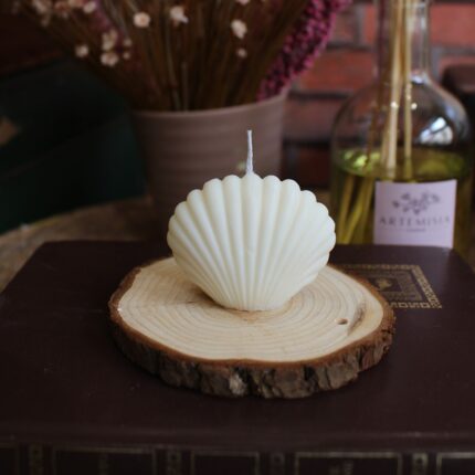 Candele decorative - Conchiglia
